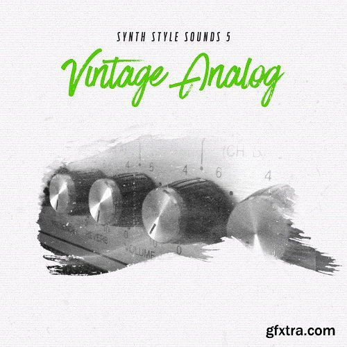 Diginoiz Synth Style Sounds 5 Vintage Analog WAV AiFF APPLE LOOPS-DISCOVER
