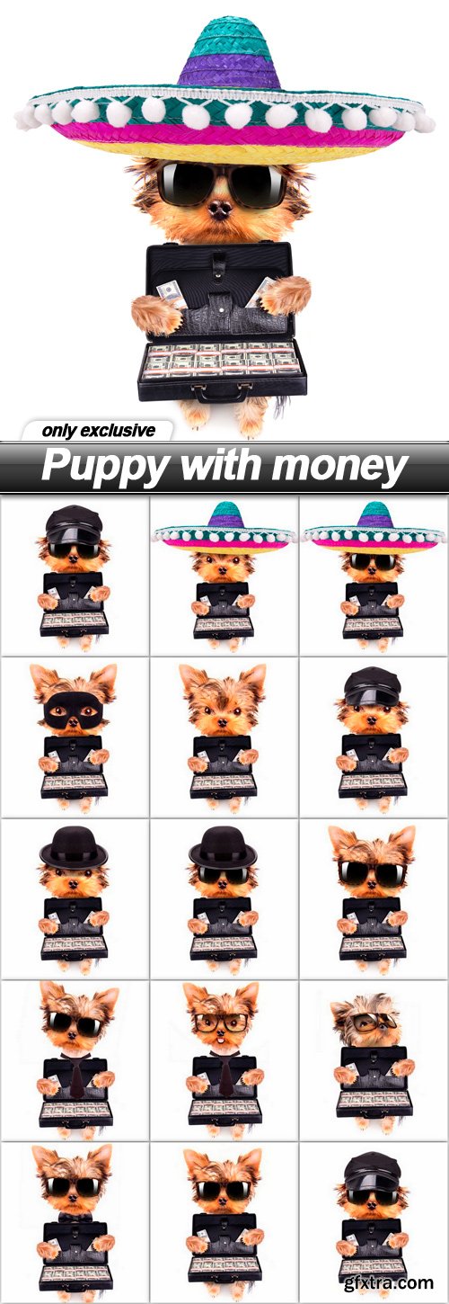Puppy with money - 14 UHQ JPEG