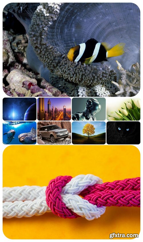 Beautiful Mixed Wallpapers Pack 369