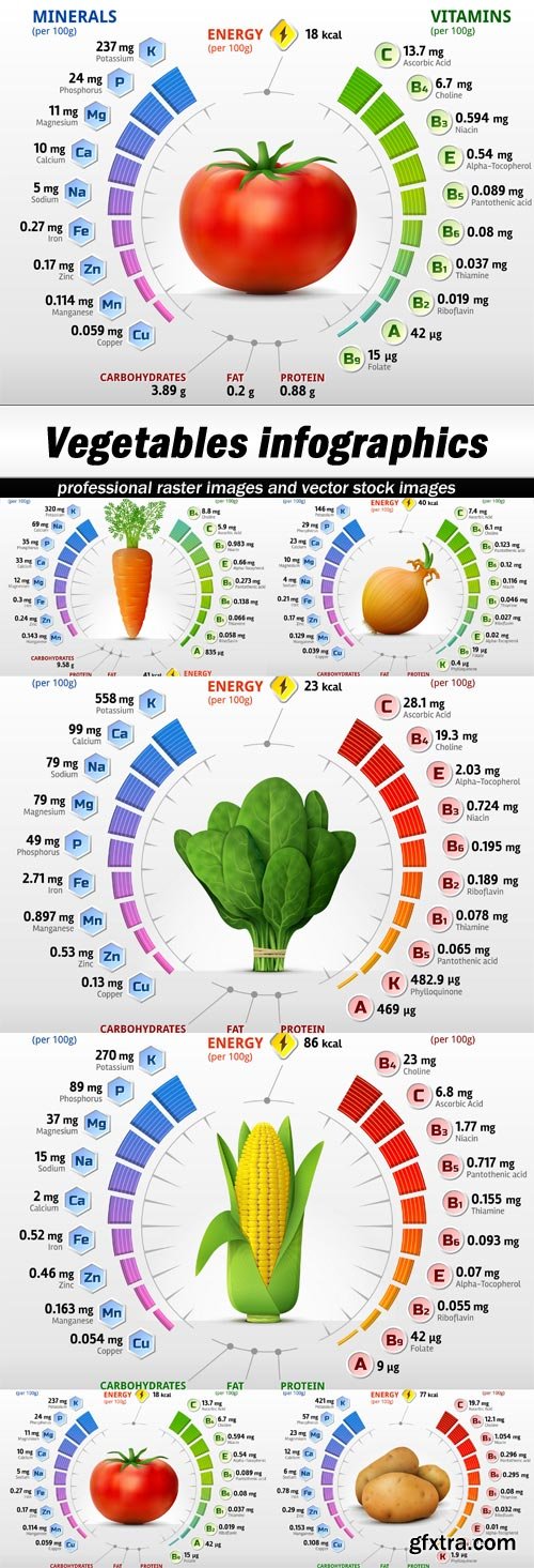 Vegetables infographics