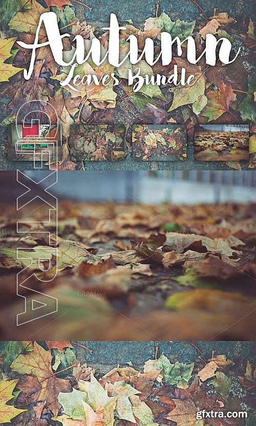 CM - Autumn Leaves Bundle 540719