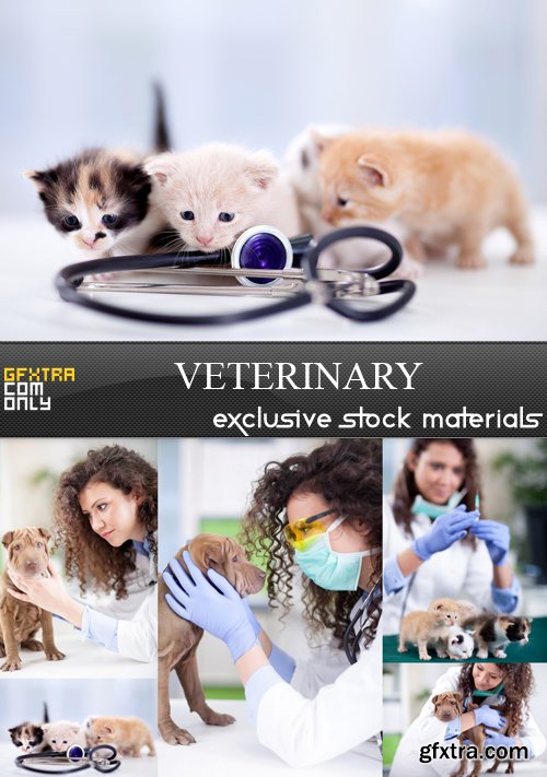 Veterinary - 5 UHQ JPEG