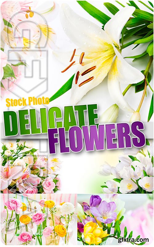 Delicate flowers - UHQ Stock Photo