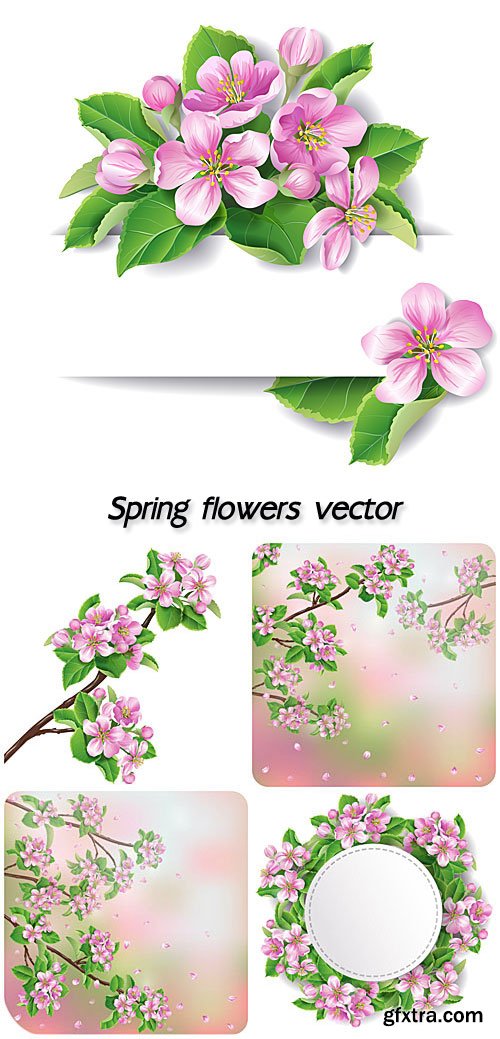Spring flowers vector