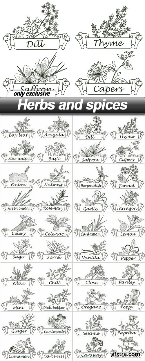 Herbs and spices - 10 EPS