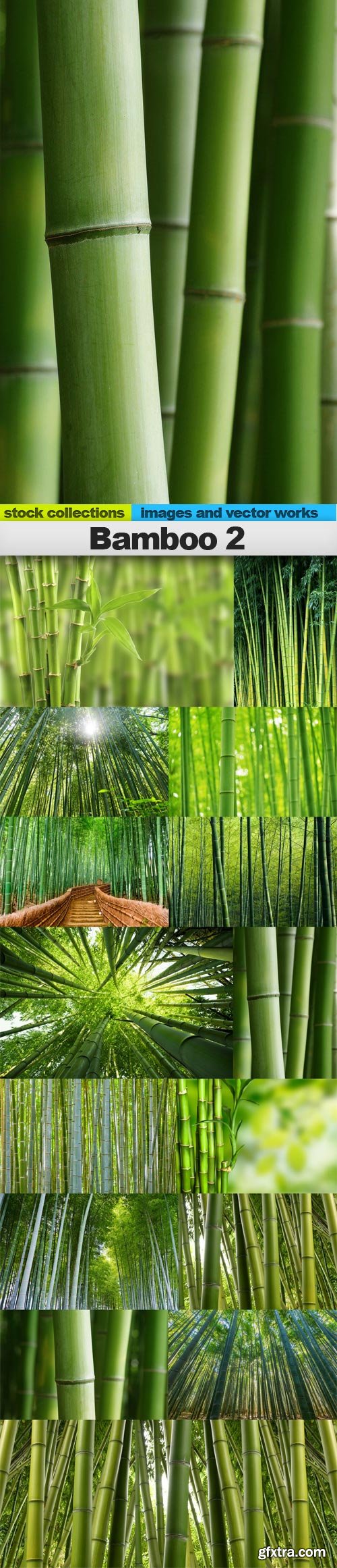 Bamboo 2, 15 x UHQ JPEG