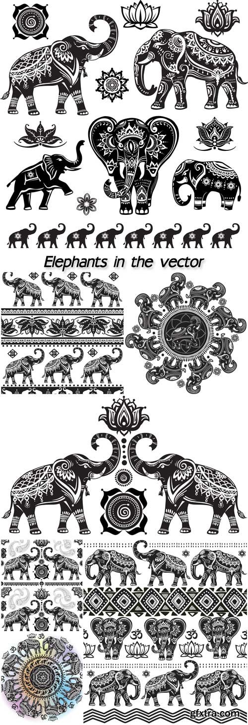 Elephants in the vector, patterns and ornaments