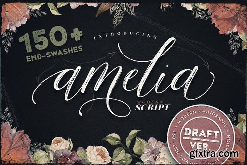 CreativeMarket - Amelia Script - Draft Version 544355