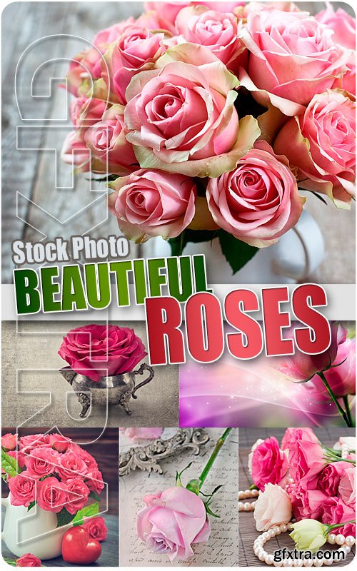 Beautiful roses - UHQ Stock Photo