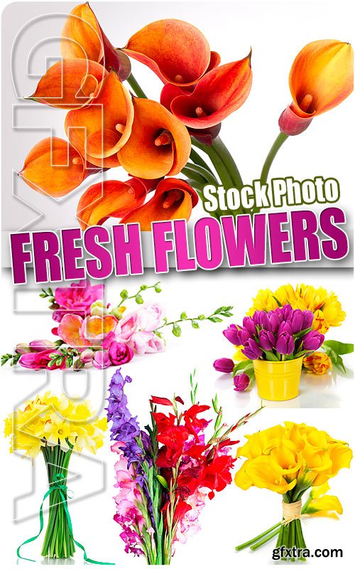 Fresh flowers - UHQ Stock Photo