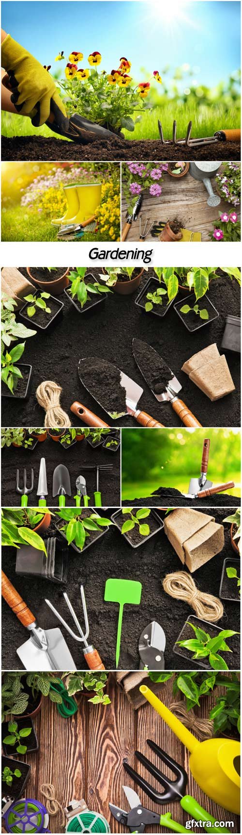 Gardening, flowers and gardening tools