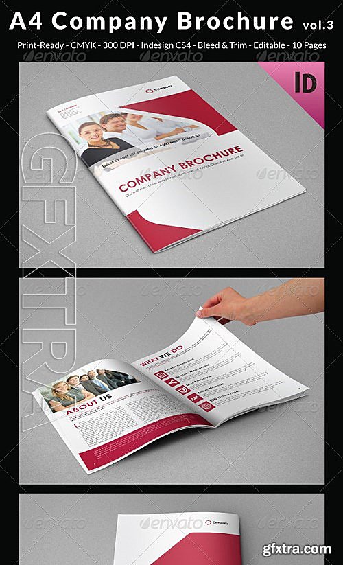 GraphicRiver - A4 Company Brochure vol3 6791145