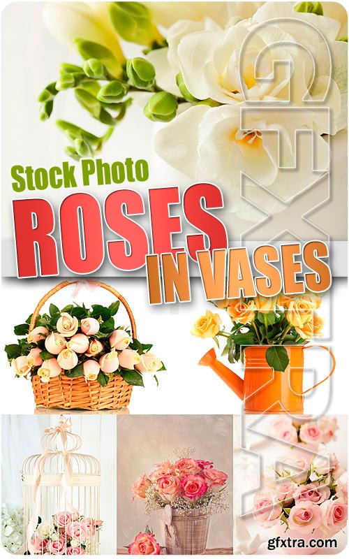 Roses in vases - UHQ Stock Photo