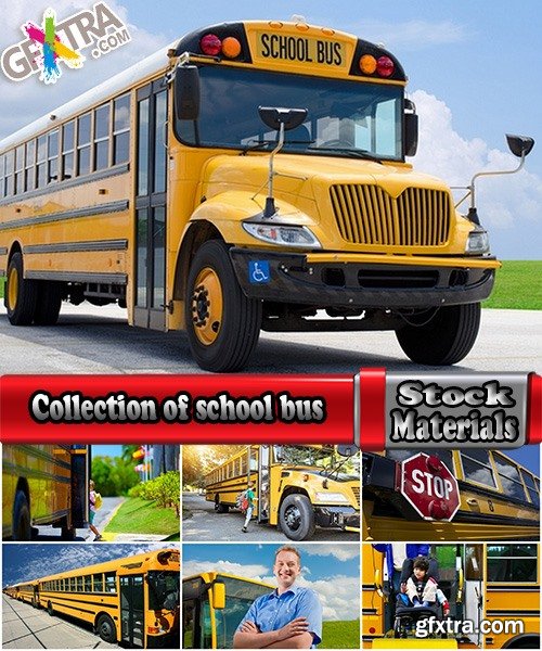 Collection of school bus transport service children 25 HQ Jpeg