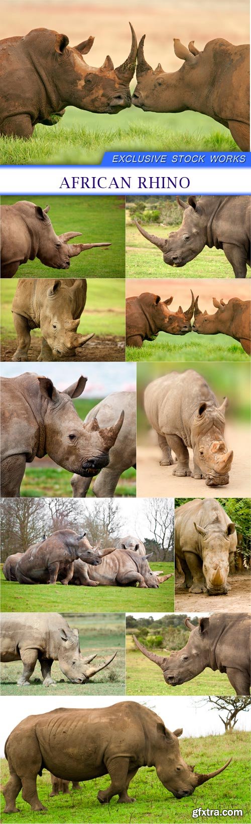 african rhino 11X JPEG