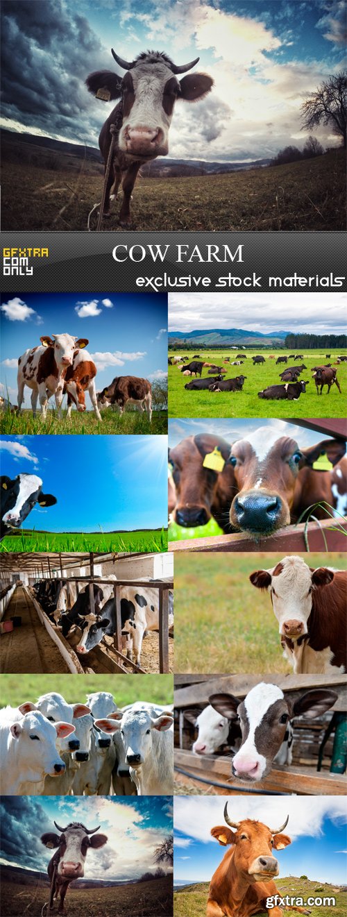 Cow Farm - 10 x JPEGs