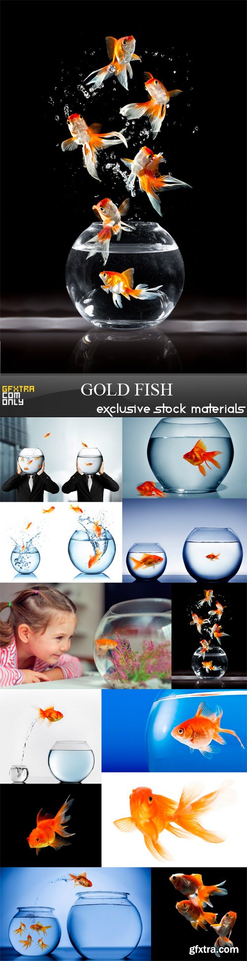 Gold Fish - 12 x JPEGs