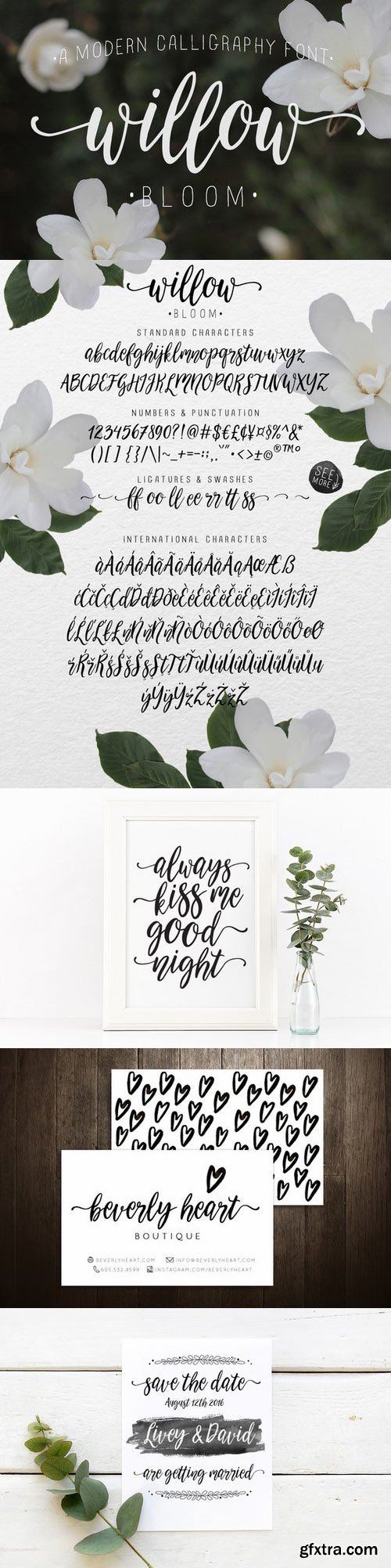 CM - Calligraphy font - Willow Bloom 588287