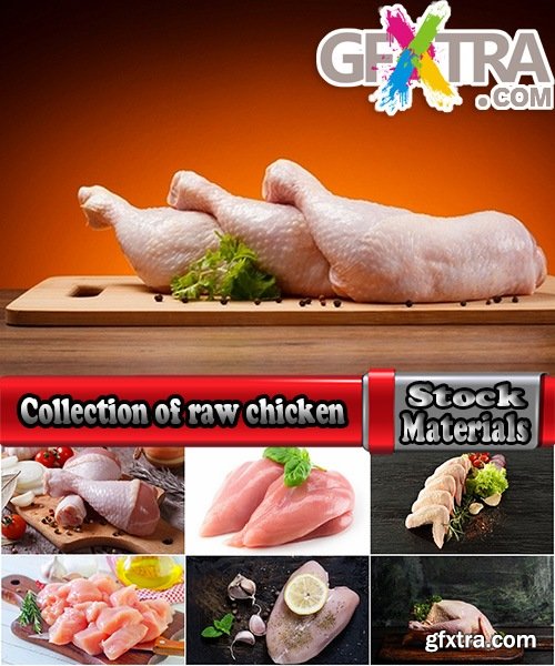 Collection of raw chicken fillet meat 25 HQ Jpeg