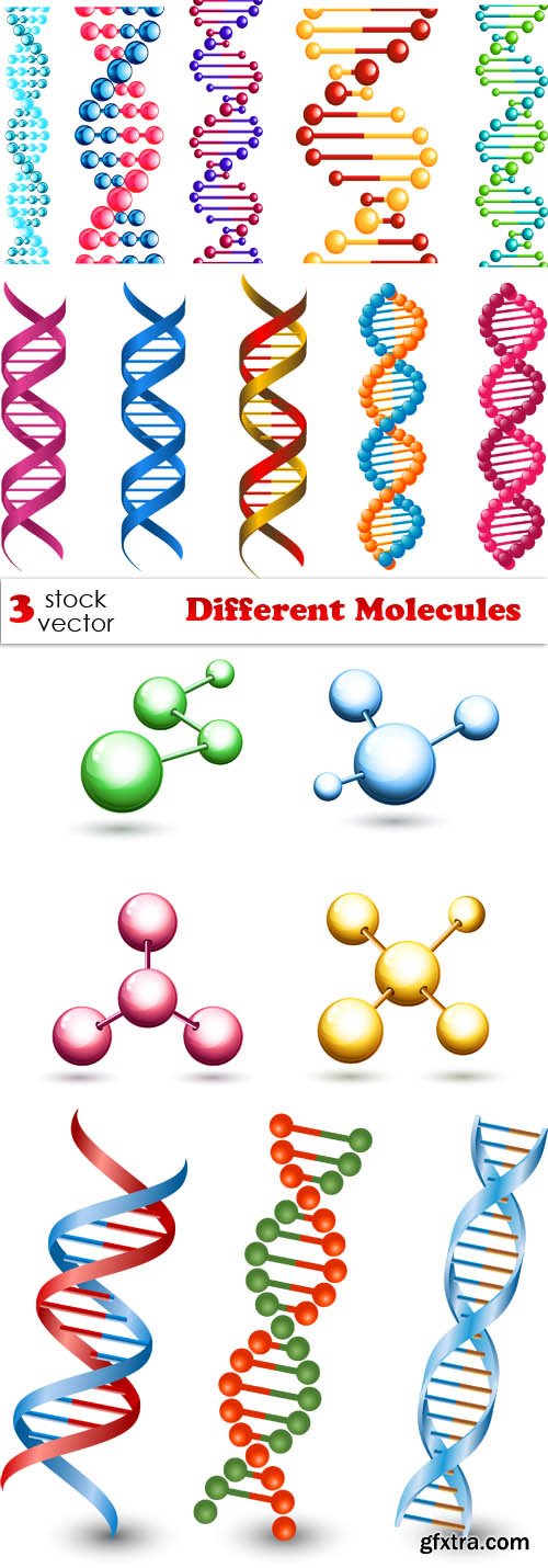 Vectors - Different Molecules