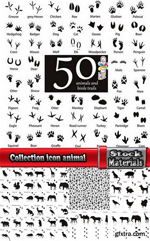 Collection icon animal footprint paw print vector image 25 EPS