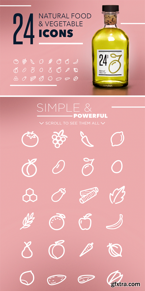 CM 419836 - 24 Natural Food Icons Pack