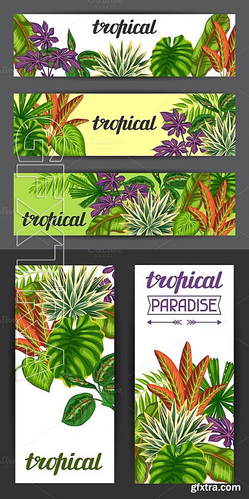 CM - Banners with tropical plants 624538