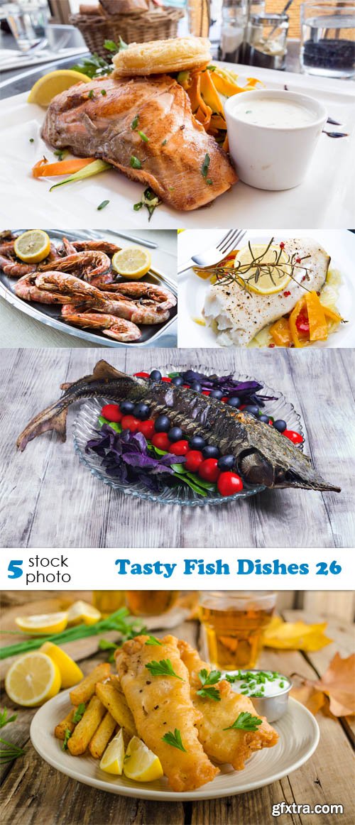 Photos - Tasty Fish Dishes 26