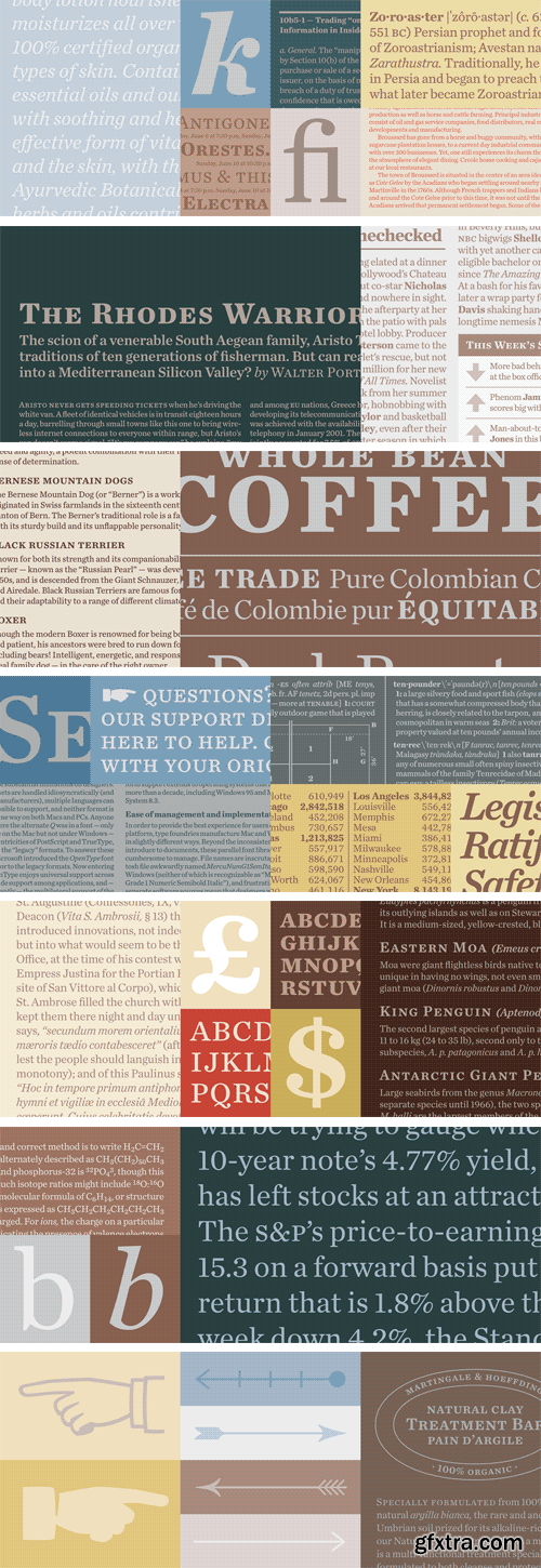 Chronicle Text Font Family