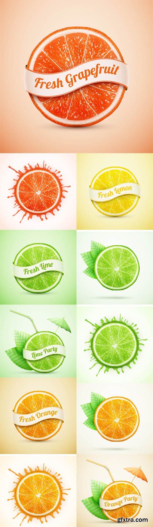 Vector Set - Fresh Orange and Lime