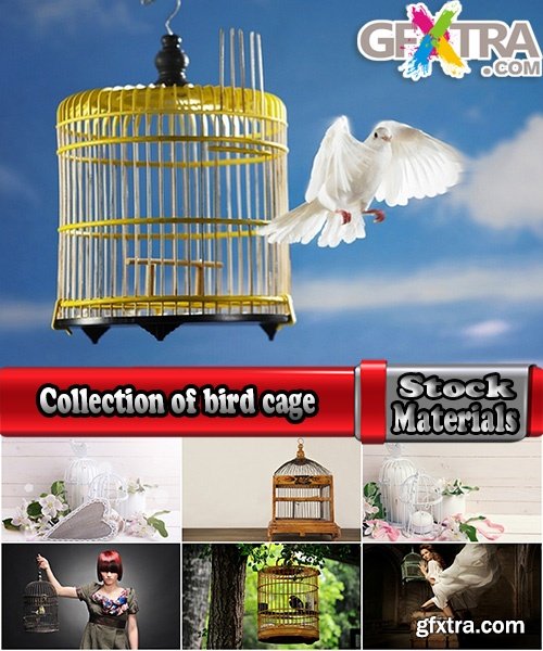 Collection of bird cage grille girl woman 25 HQ Jpeg