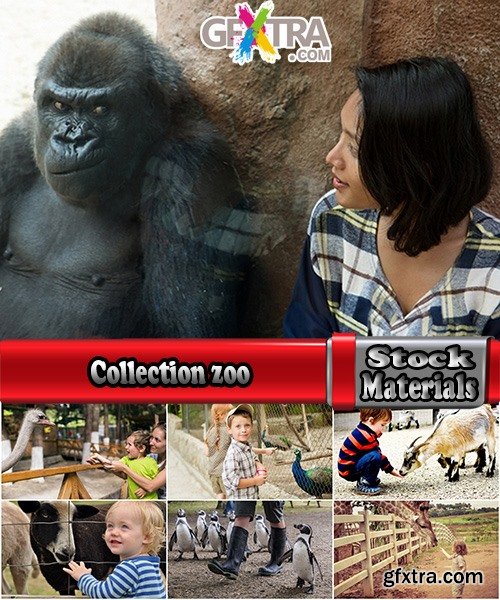 Collection zoo kids child mom dad parents fun vacation holiday animals in a cage 25 HQ Jpeg