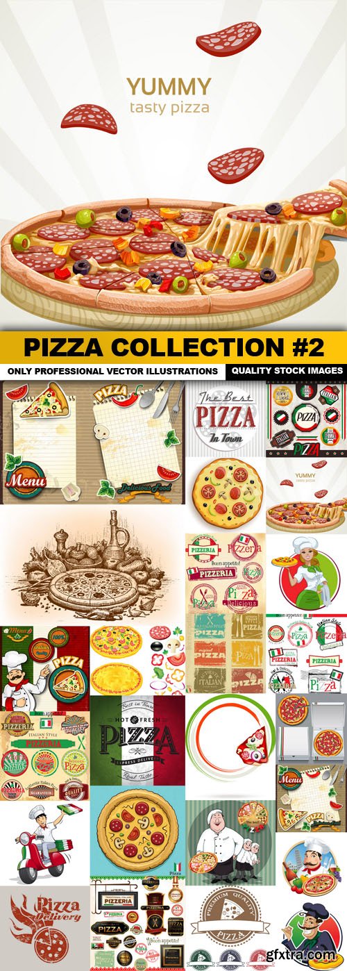 Pizza Collection #2 - 25 Vector