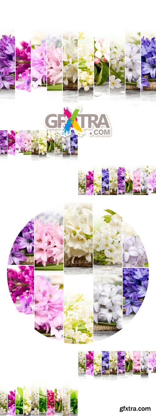 Stock Photo - Banners with Flowers