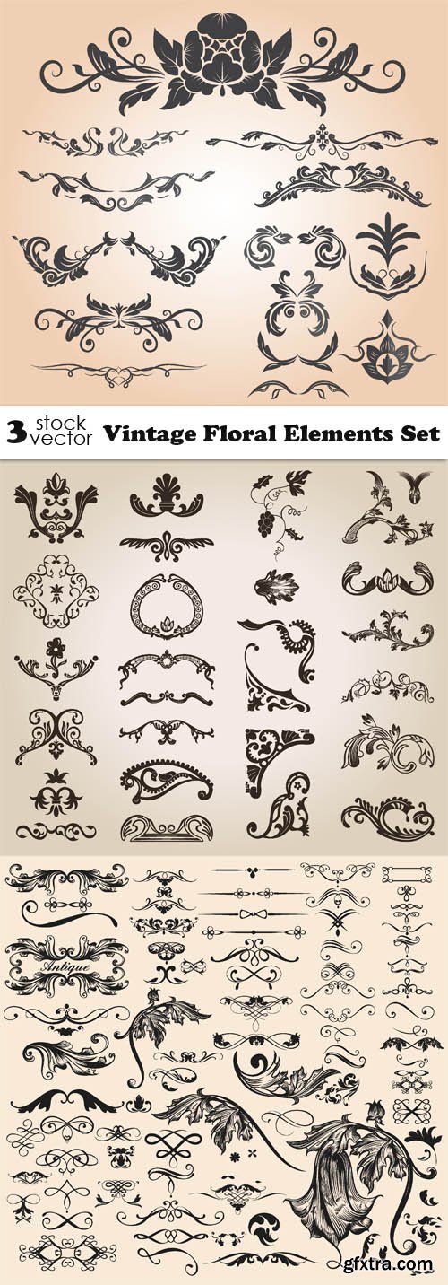 Vectors - Vintage Floral Elements Set