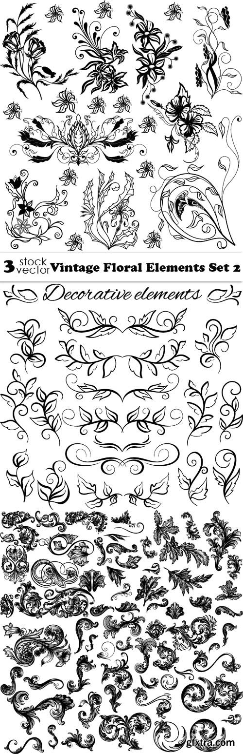 Vectors - Vintage Floral Elements Set 2