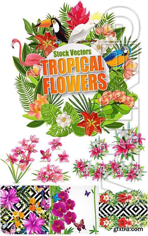 Tropical flowers - Stock Vectors