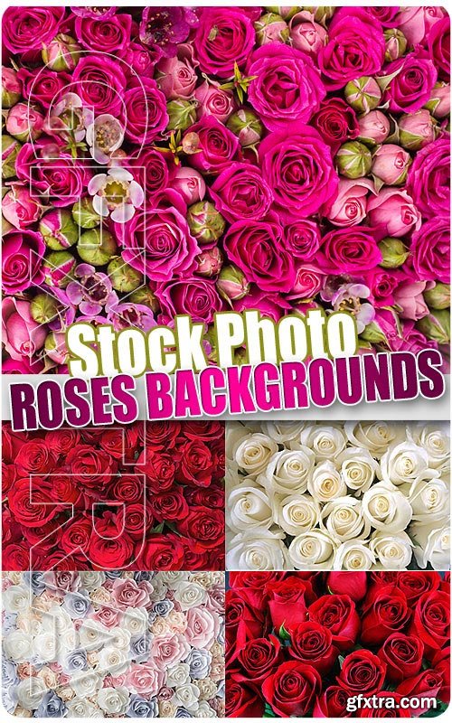 Rose backgrounds - UHQ Stock Photo