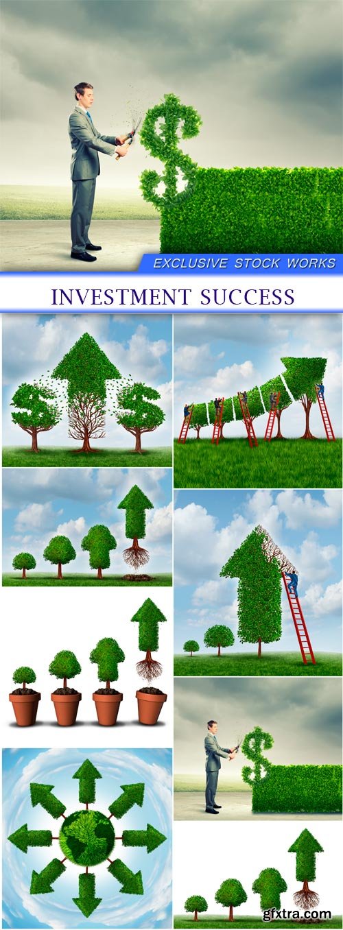 Investment Success 8X JPEG