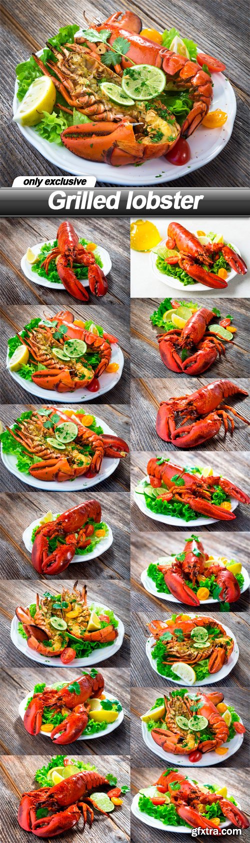 Grilled lobster - 15 UHQ JPEG