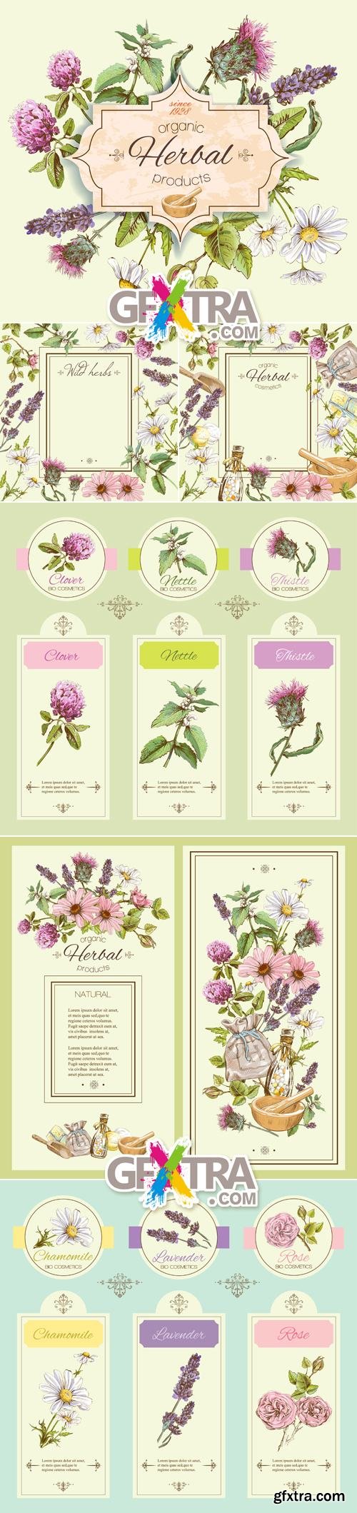 Herbal Banners & Backgrounds Vector