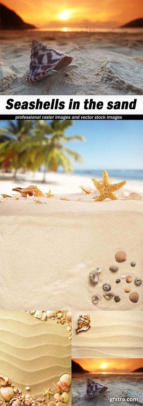 Seashells in the sand-5xJPEGs