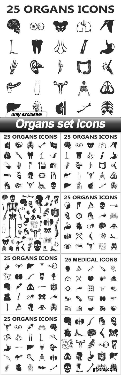 Organs set icons - 8 EPS
