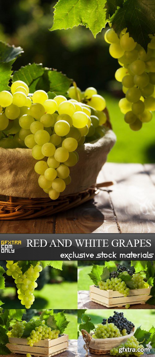 Red and White Grapes - 5 UHQ JPEG