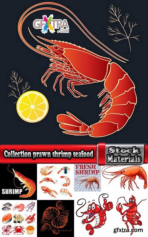 Collection prawn shrimp seafood menu vector image 25 EPS