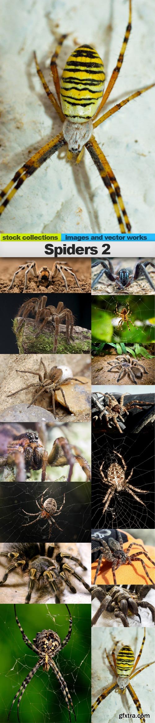 Spiders 2, 15 x UHQ JPEG