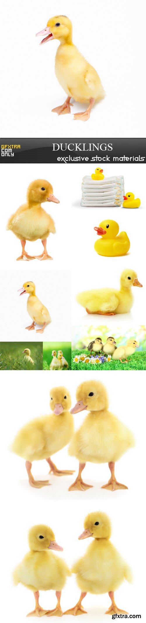 Ducklings, 10 UHQ JPEG