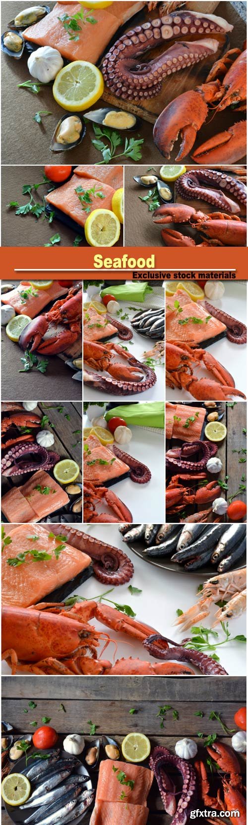 Seafood, lobster and octopus, fish