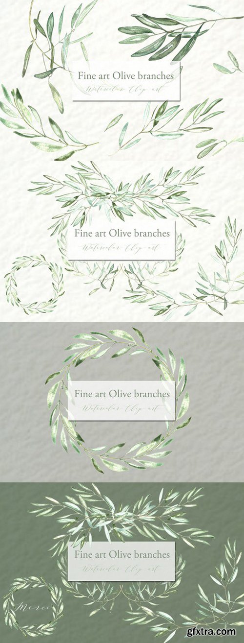 CM - Olive branches. Watercolor clipart. 445664