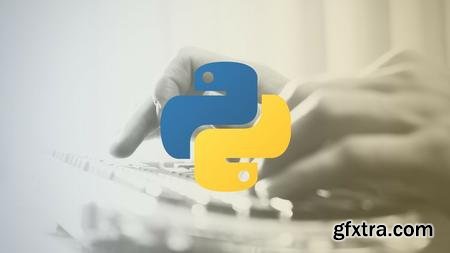 Become a Professional Python Programmer